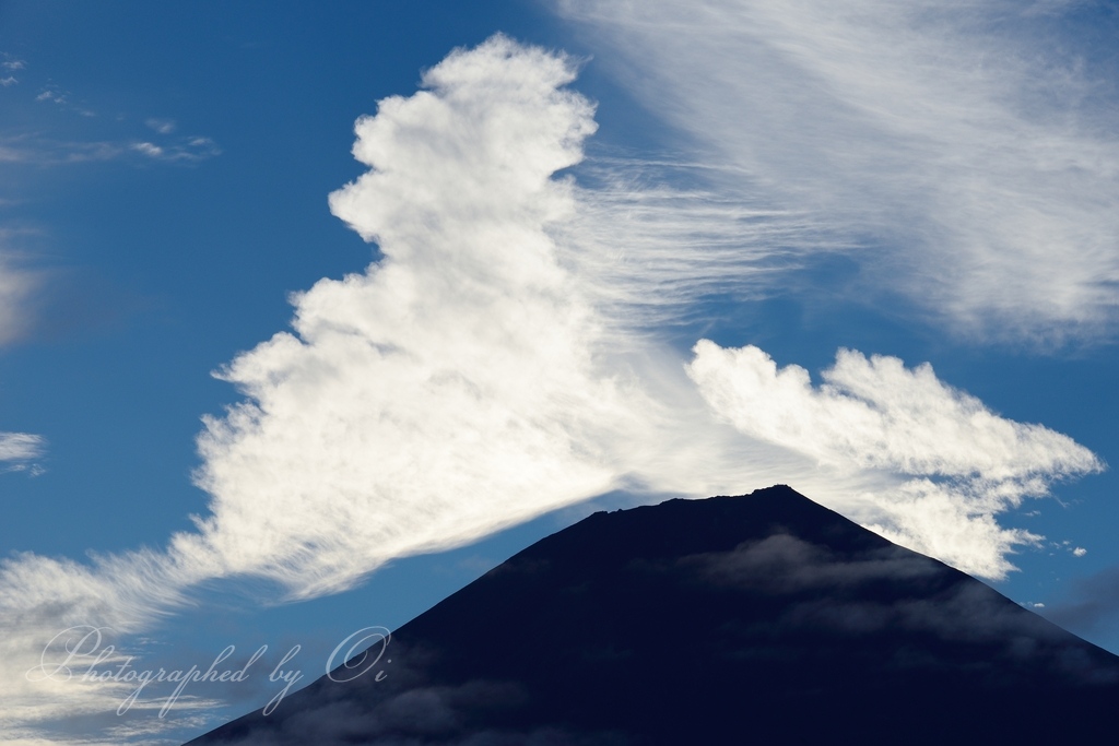 富士山と֟の雲の写真̌̎くもかざり̏ - 田貫湖・朝霧高原・天子山塊周辺エリア࿸静岡ݼ࿹̍