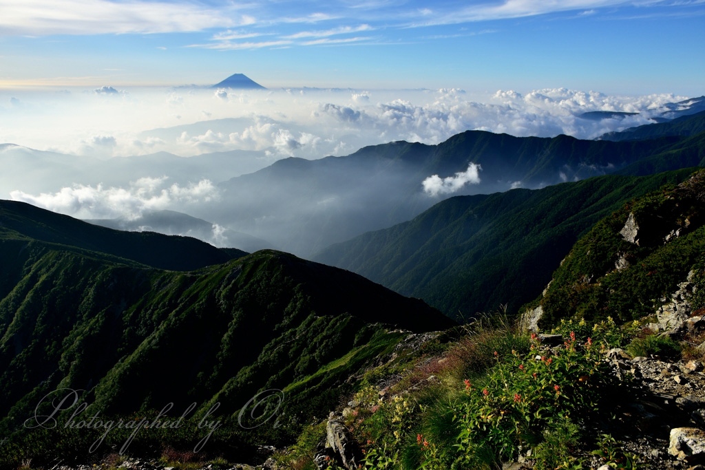 北岳山ংから見る富士山の写真̌̎ようこそ֟の空へ̏ - 南アルプス北部エリア࿸山梨ݼ࿹̍