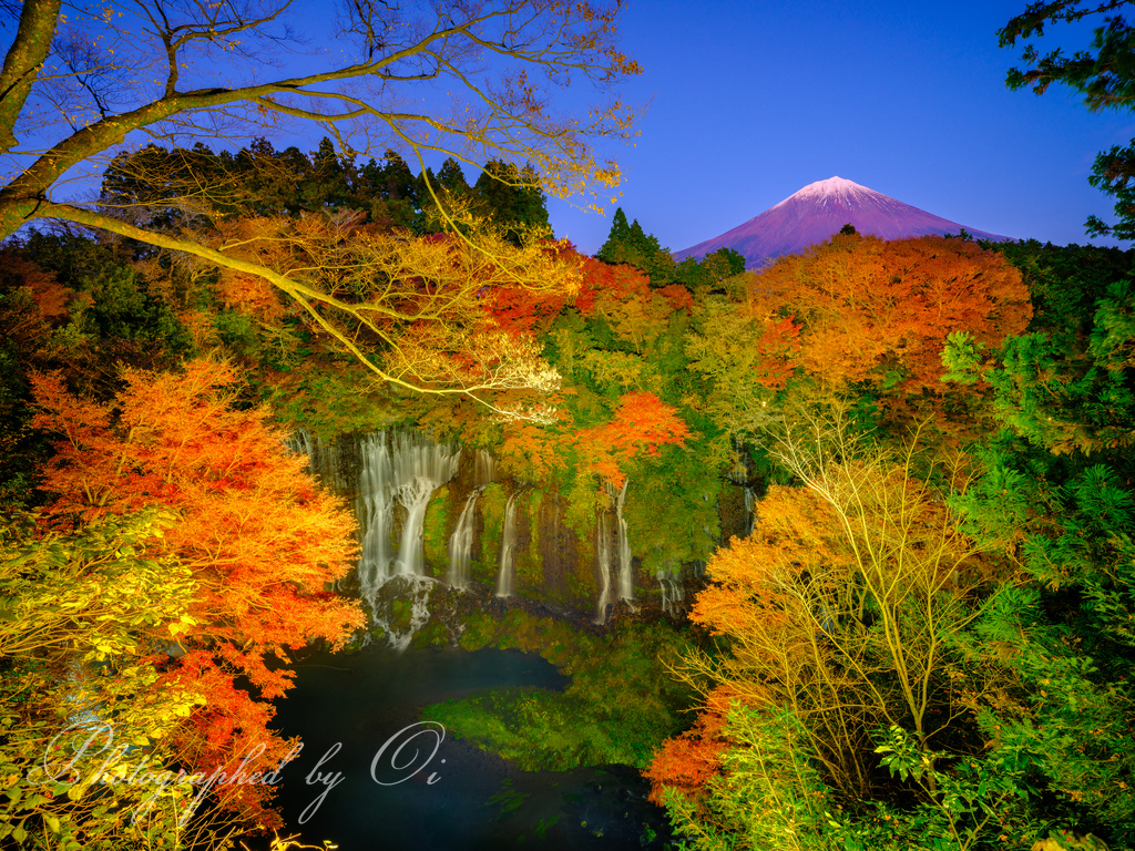 白糸の滝̀ライトアップ̀2021年の写真̌̎世界遺産 白糸ノ滝ライトアップ2021̏ - 富士宮ע郊外・ע街地エリア࿸静岡ݼ࿹̍