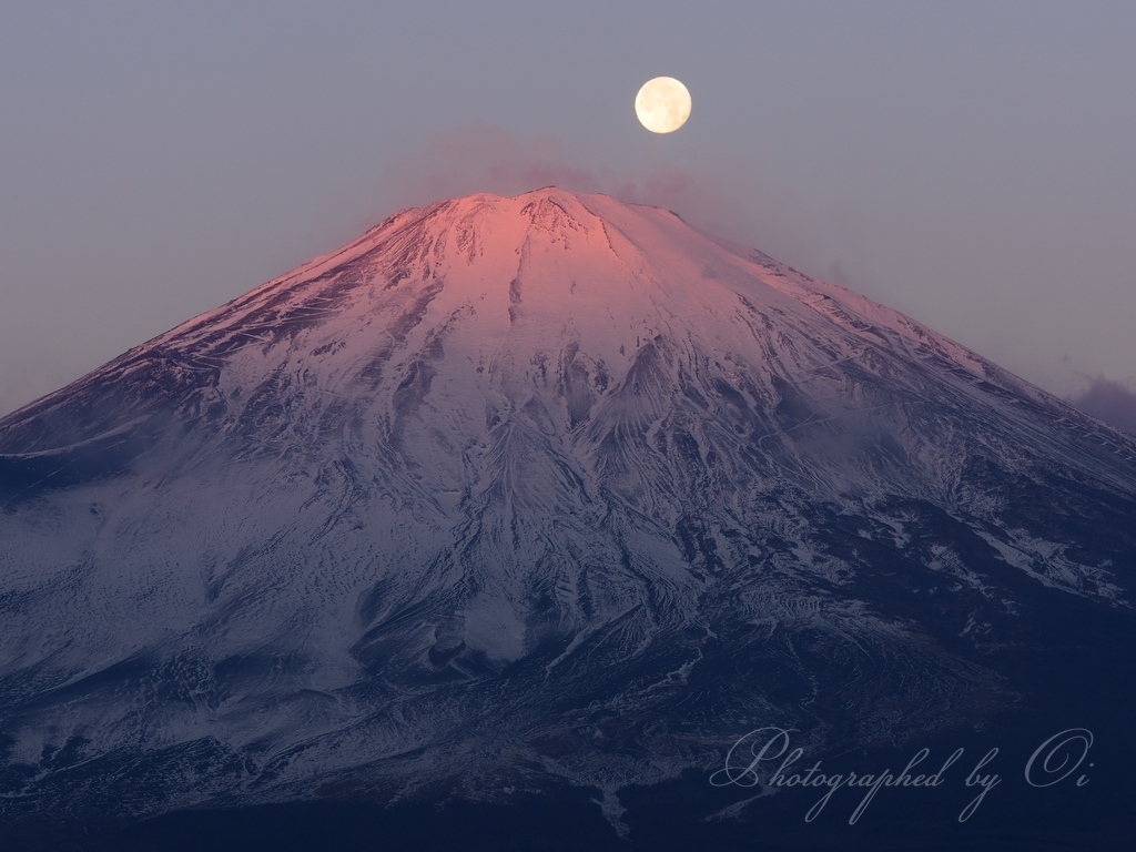 御殿場のߕ富士パール富士の写真̌̎ߕに集う̏ - 御殿場ע・׏山町エリア࿸静岡ݼ࿹̍