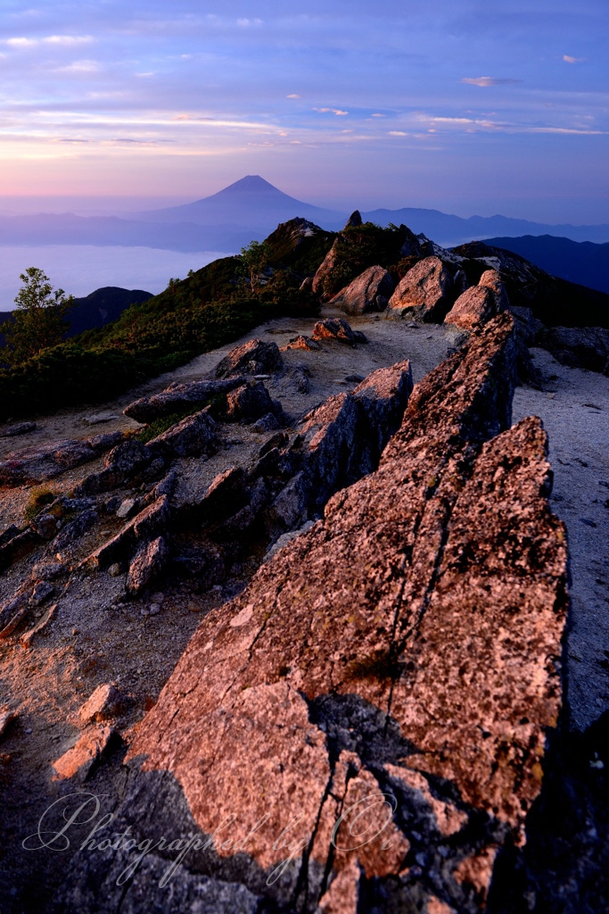 観音岳のモルゲンロートと富士山の写真̌̎アルプス染める朝̏ - 南アルプス北部エリア࿸山梨ݼ࿹̍