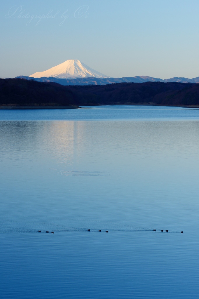 狭山湖から望む富士山の写真̌̎早朝のワルツ̏ - 狭山湖・埼玉ݼ内エリア࿸埼玉ݼ࿹̍