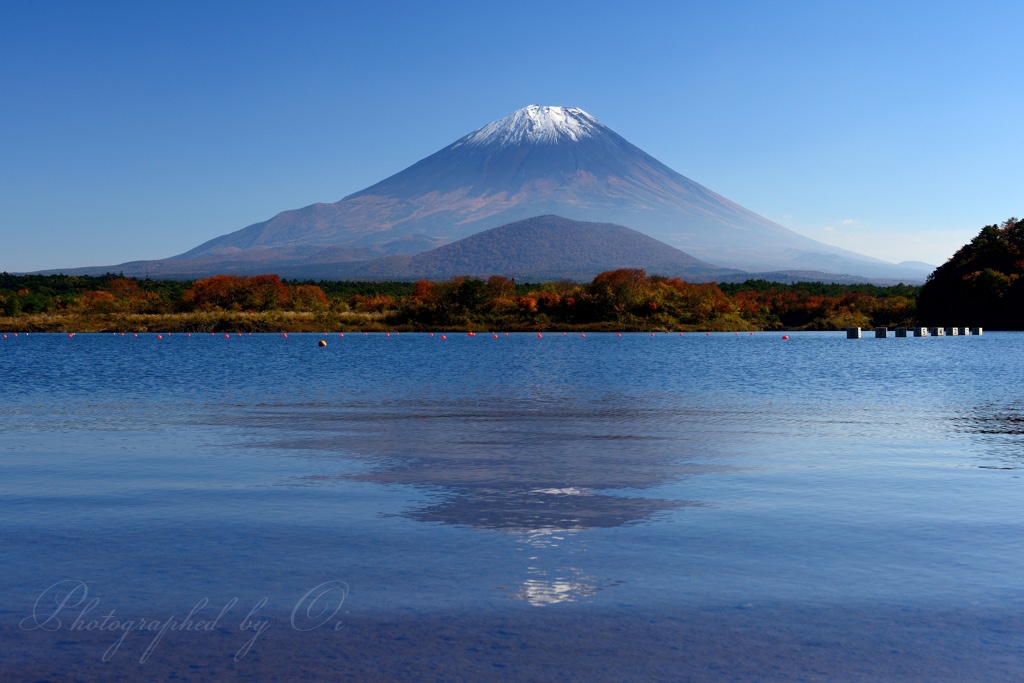 精進湖のआさ富士の写真̌̎澄んだ昼ӫがり̏ - 精進湖・本栖湖・富士五湖西部周辺エリア࿸山梨ݼ࿹̍