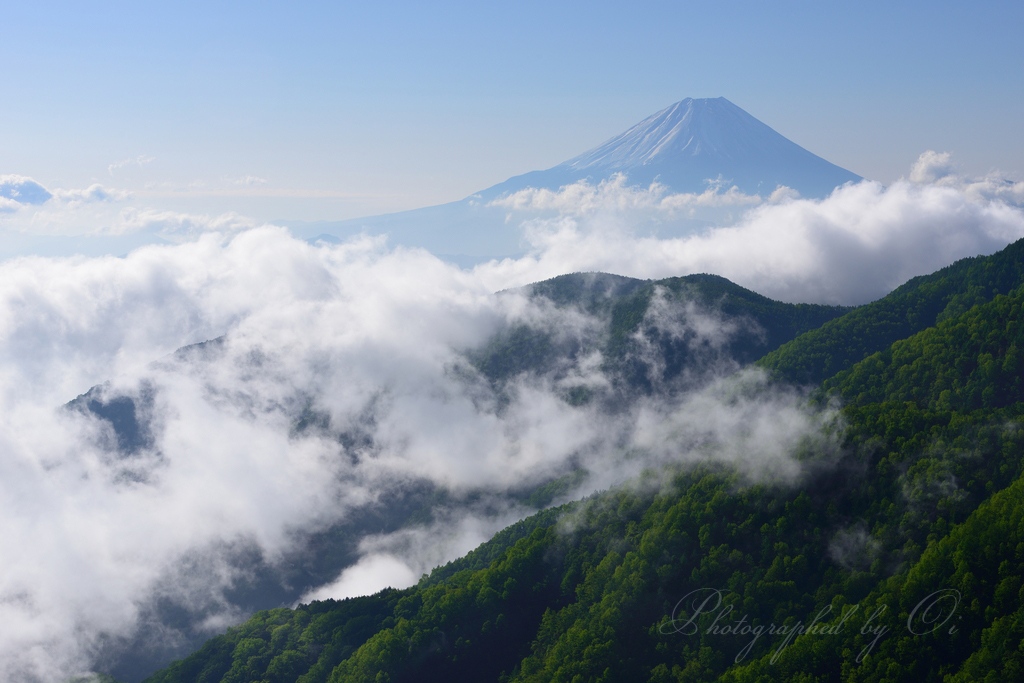丸山林道からの富士山と雲海の写真̌̎࣪り出す雲海̏ - 南アルプス前衛エリア࿸山梨ݼ࿹̍