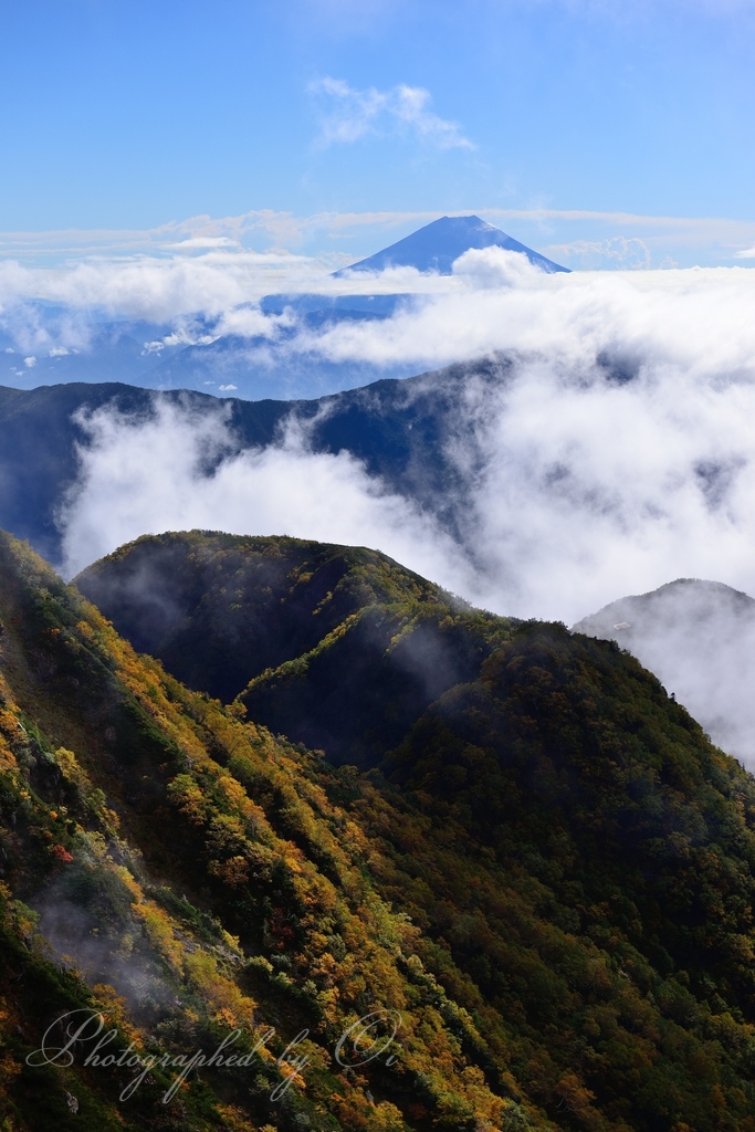 赤石岳のߕ葉と富士山と雲海の写真̌̎雲晴れて́彩る̂̏ - 南アルプス中・南部エリア࿸静岡ݼ・長野ݼ࿹̍