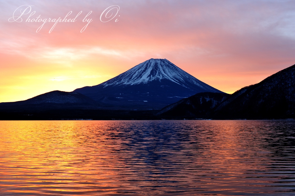 本栖湖湖畔の写真̌̎空に咲く花̏ - 精進湖・本栖湖・富士五湖西部周辺エリア࿸山梨ݼ࿹̍