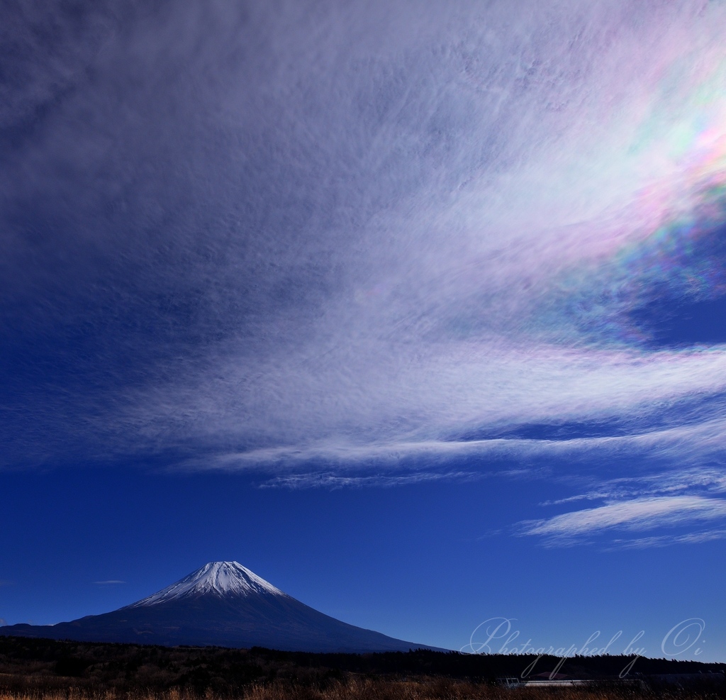 朝霧高原から望む富士山と彩雲の写真̌̎虹の羽ばたき̏ - 田貫湖・朝霧高原・天子山塊周辺エリア࿸静岡ݼ࿹̍