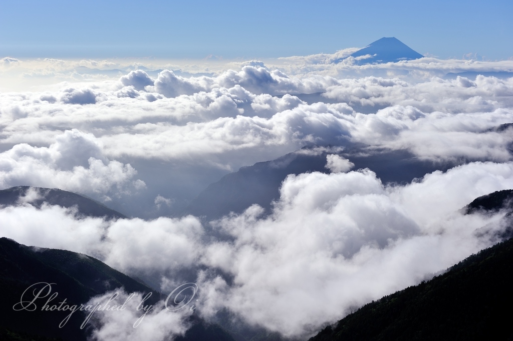 北岳より望む大雲海と富士山の写真̌̎高くうねりを越えて̏ - 南アルプス北部エリア࿸山梨ݼ࿹̍