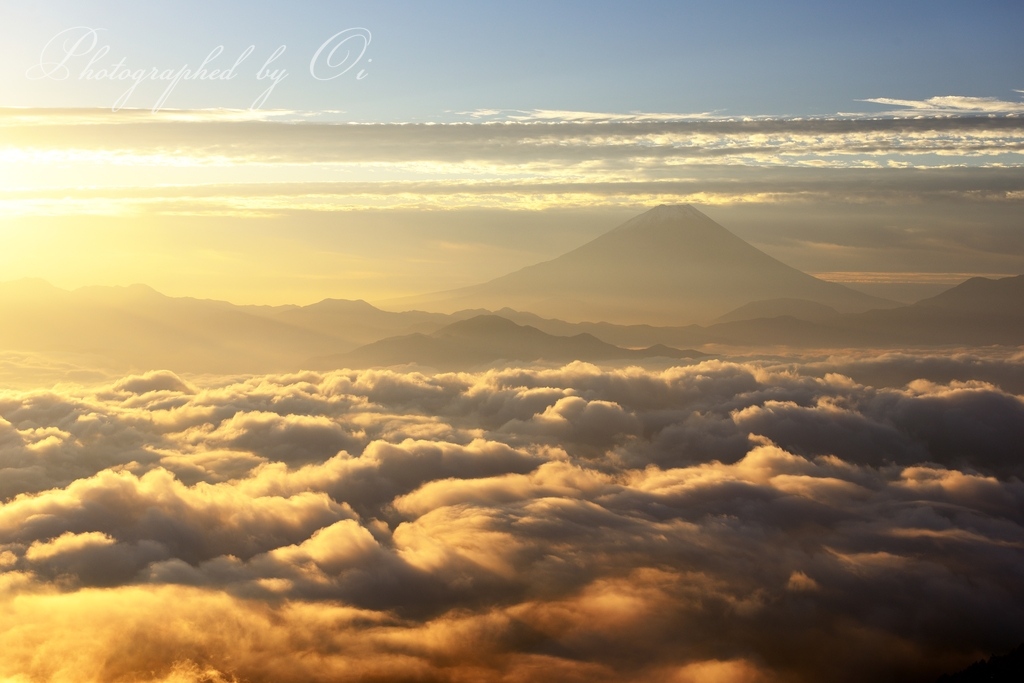 櫛形山から雲海の富士山の写真̌̎黄金の絨毯̏ - 南アルプス前衛エリア࿸山梨ݼ࿹̍