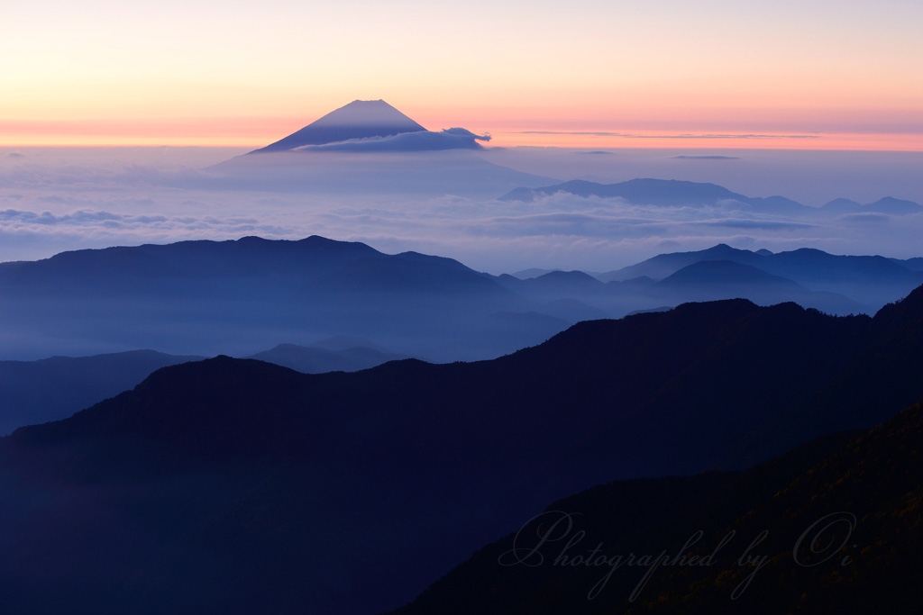 北岳から望む朝焼けの富士山と雲海の写真̌̎山࠘の向こうに̏ - 南アルプス北部エリア࿸山梨ݼ࿹̍