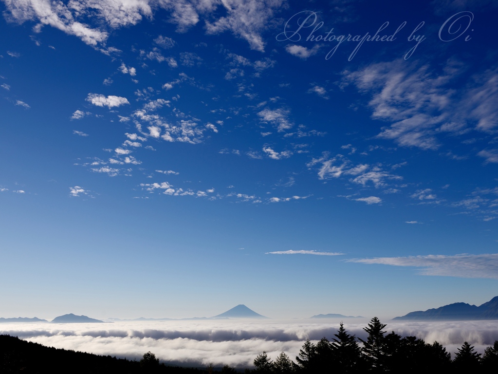 観音平からの雲海の写真̌̎֟空舞う̏ - 八ヶ岳南麓エリア࿸山梨ݼ・長野ݼ࿹̍