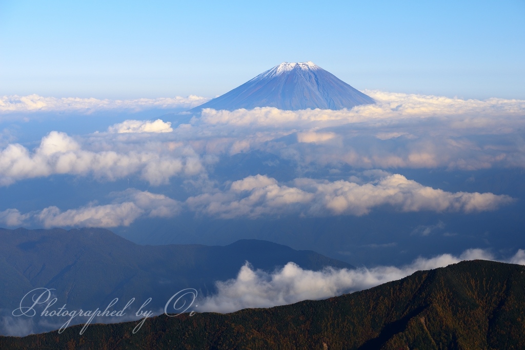 悪沢岳より望む富士山と雲海の写真̌̎雲Ӫに聳える̏ - 南アルプス中・南部エリア࿸静岡ݼ・長野ݼ࿹̍