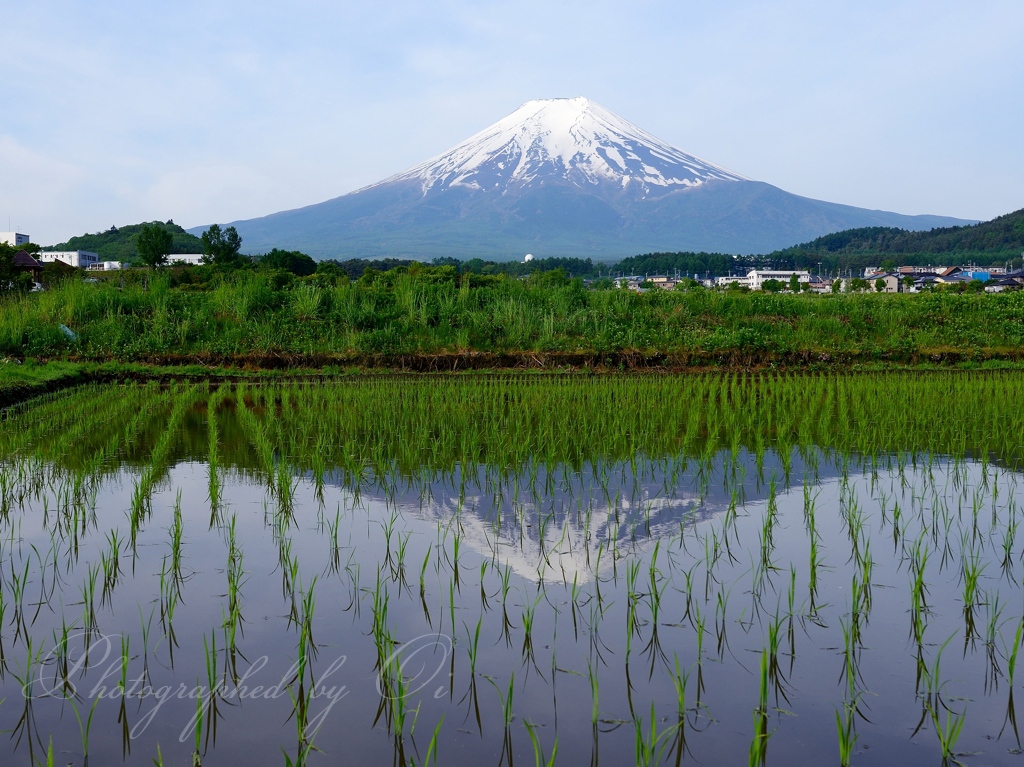農村公園の水田आさ富士の写真̌̎農村の情景̏ - 富士Չ田ע周辺エリア࿸山梨ݼ࿹̍