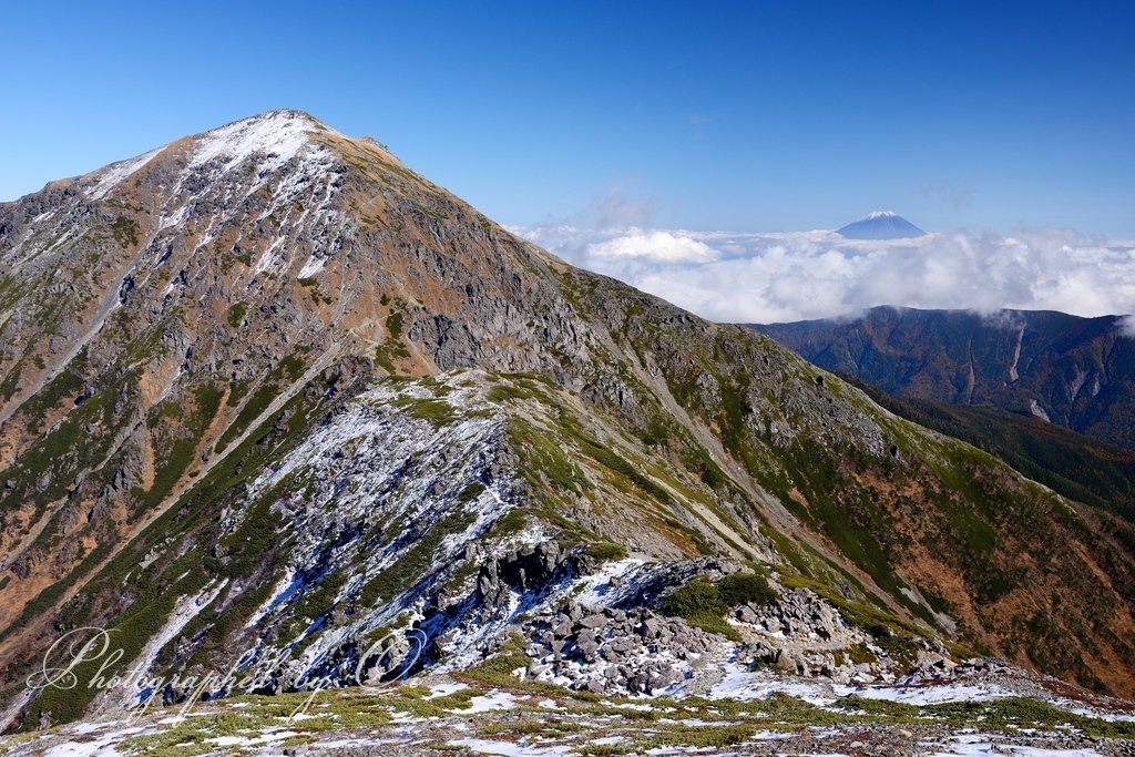 悪沢岳と富士山の写真̌̎初雪の山稜̏ - 南アルプス中・南部エリア࿸静岡ݼ・長野ݼ࿹̍
