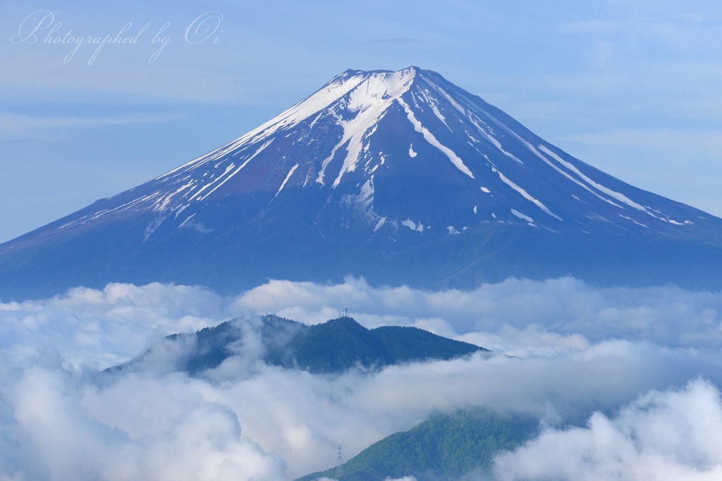白谷丸から雲海と富士山の写真̌̎初֟の顔̏ - 大ٸע秀麗富嶽十二景・周辺山エリア࿸山梨ݼ࿹̍