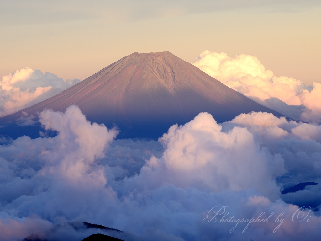 赤石岳から望む赤富士と雲海の写真̌̎夕陽を見ている̏ - 南アルプス中・南部エリア࿸静岡ݼ・長野ݼ࿹̍