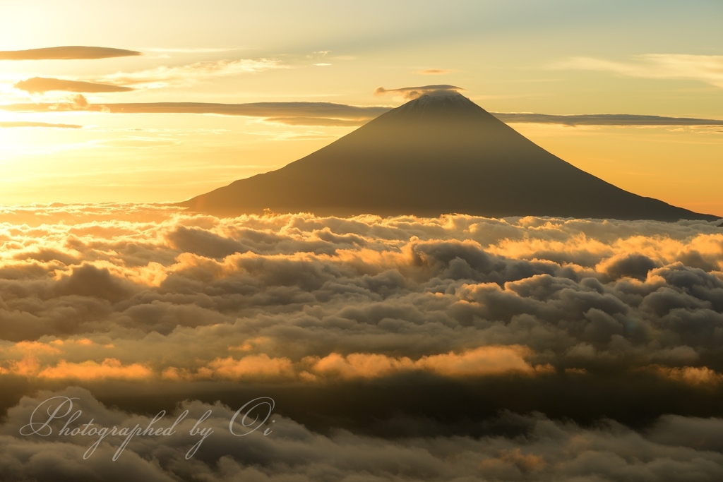 櫛形山から雲海と富士山の写真̌̎染まりし雲Ӫの朝̏ - 南アルプス前衛エリア࿸山梨ݼ࿹̍