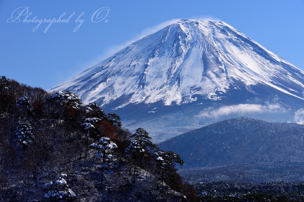 精進湖より望む富士山と雪景色の写真̌̎雪晴れの景̏ - 精進湖・本栖湖・富士五湖西部周辺エリア࿸山梨ݼ࿹̍