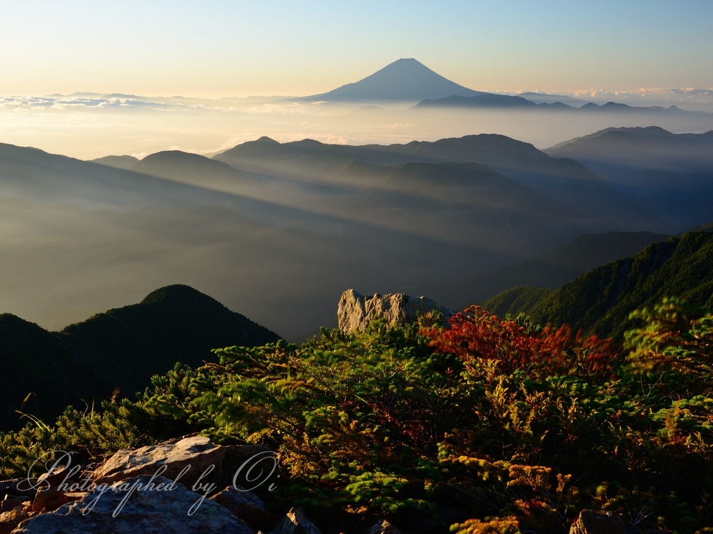 南アルプス白河内岳から望む朝の富士山の写真
