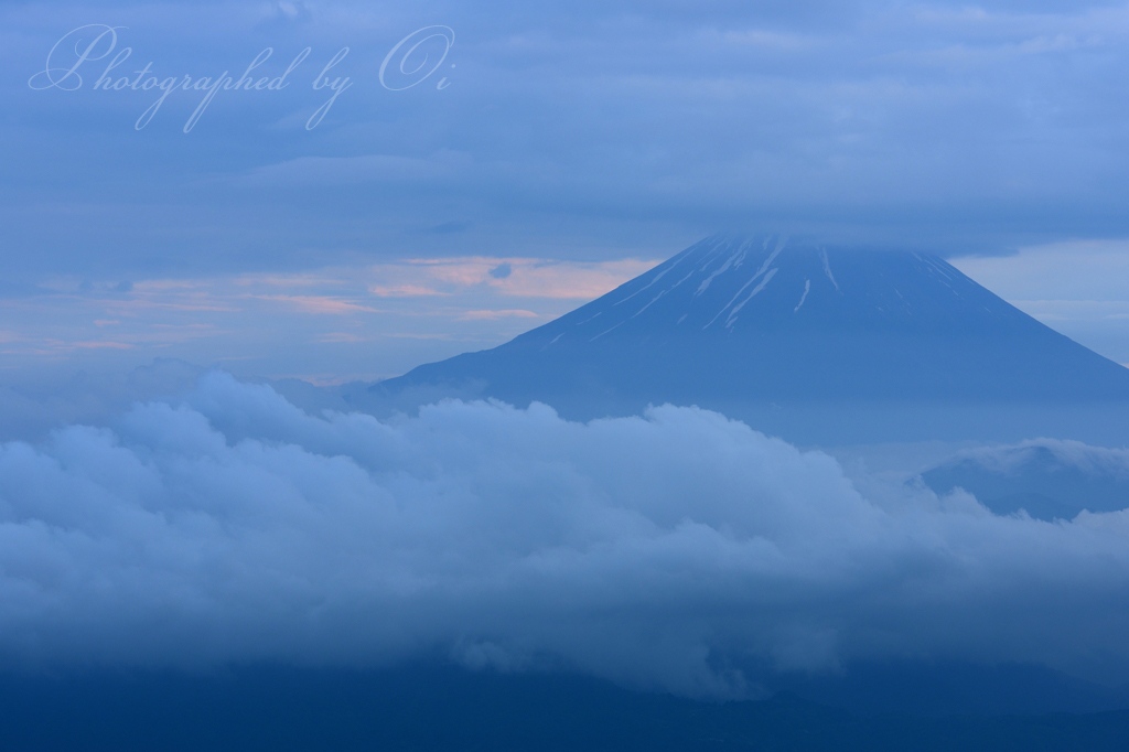 雲海と富士山の写真̌̎狭間の富士山̏ - 南アルプス前衛エリア࿸山梨ݼ࿹̍
