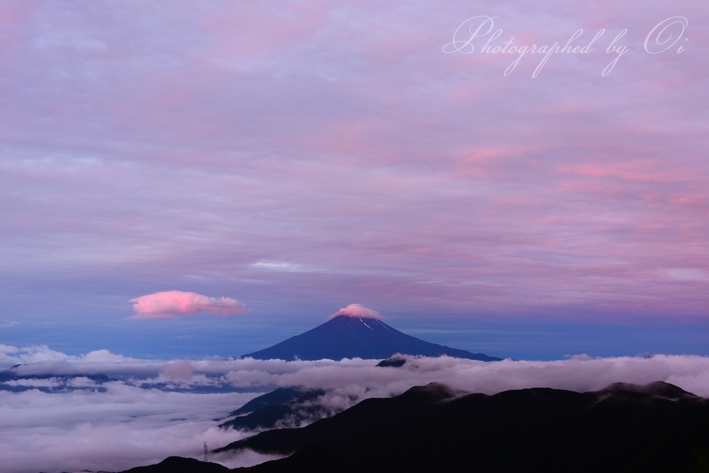 雁ヶ腹摺山から朝焼けの富士山の写真̌̎色づく空̏ - 大ٸע秀麗富嶽十二景・周辺山エリア࿸山梨ݼ࿹̍
