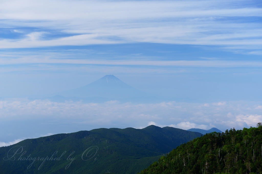 国師ヶ岳の雲海と富士山の写真̌̎空の旅̏ - 奥秩父連山稜線エリア࿸山梨ݼ・長野ݼ࿹̍