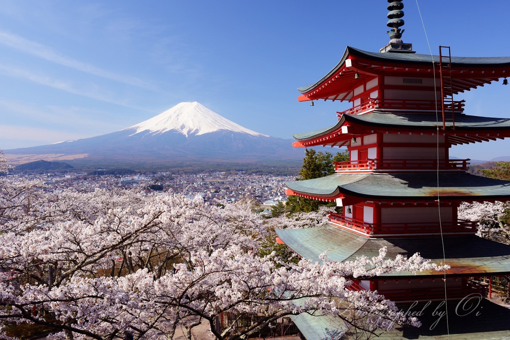 新倉山浅間公園の忠霊塔と桜と富士山の写真