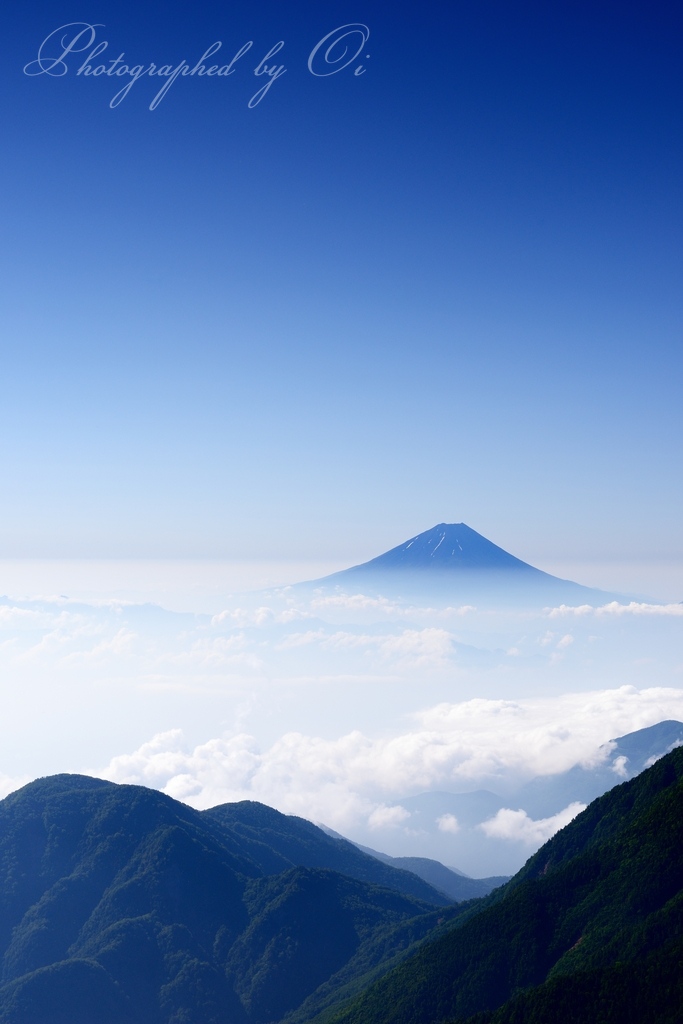 鳳凰ө山(薬師岳)からの富士山と雲海の写真̌̎澄み渡る空に̏ - 南アルプス北部エリア࿸山梨ݼ࿹̍