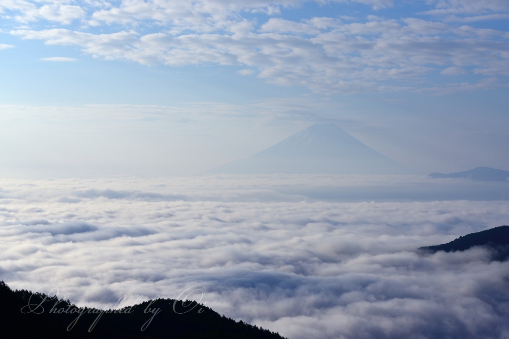池の茶屋林道からの雲海と富士山の写真̌̎シルクのような̏ - 南アルプス前衛エリア࿸山梨ݼ࿹̍