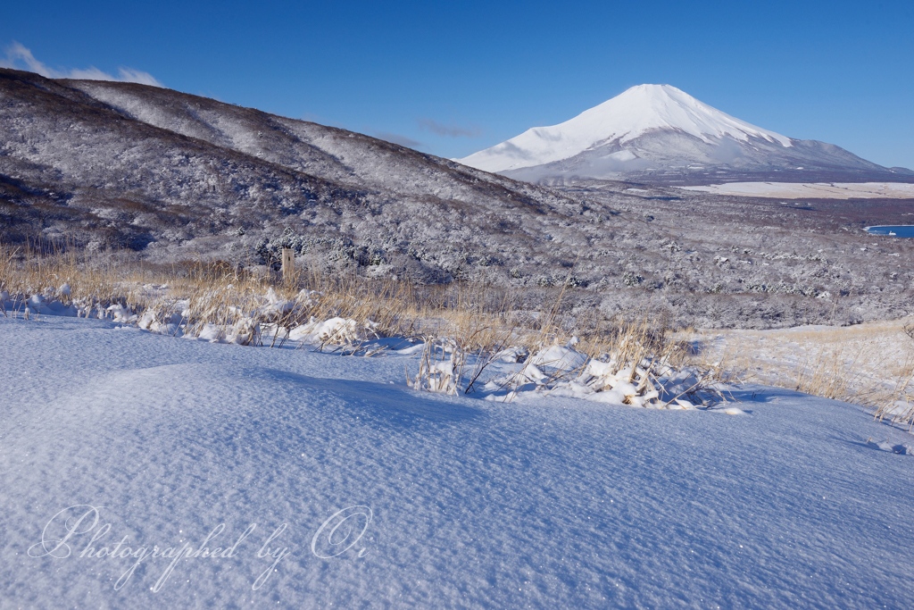 ө国峠の雪景の写真̌̎雪原の美̏ - 山中湖・忍野村・梨ヶ原エリア࿸山梨ݼ࿹̍