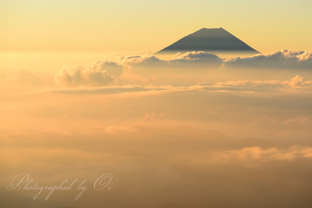 北岳から雲海と富士山の写真̌̎黄金にԵまれ̏ - 南アルプス北部エリア࿸山梨ݼ࿹̍