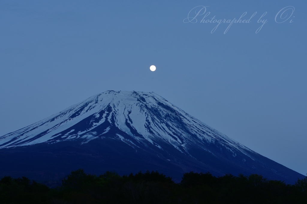 富士ヶ嶺高原のパール富士の写真̌̎富士に浮かぶ̏ - 精進湖・本栖湖・富士五湖西部周辺エリア࿸山梨ݼ࿹̍