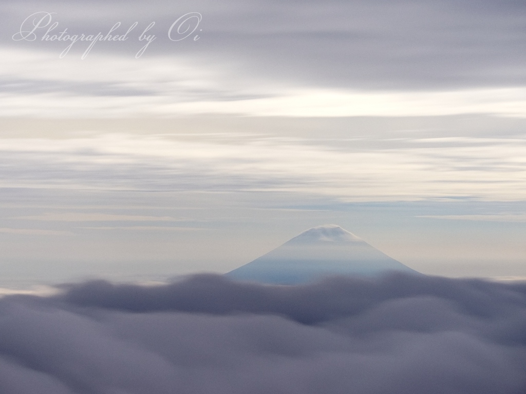 赤石岳から望む富士山の写真̌̎幻の富士̏ - 南アルプス中・南部エリア࿸静岡ݼ・長野ݼ࿹̍