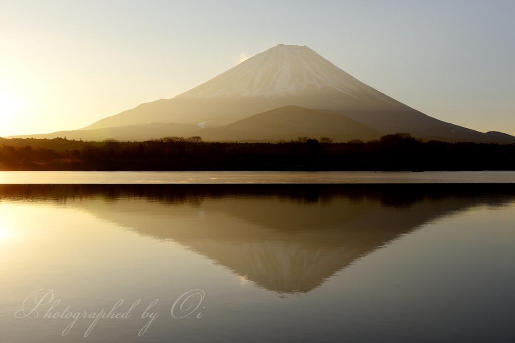 精進湖の御来光とआさ富士の写真̌̎朝陽に目を細め̏ - 精進湖・本栖湖・富士五湖西部周辺エリア࿸山梨ݼ࿹̍