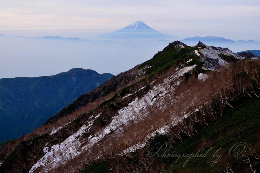 観音岳からの富士山の写真̌̎曇天の斜面̏ - 南アルプス北部エリア࿸山梨ݼ࿹̍