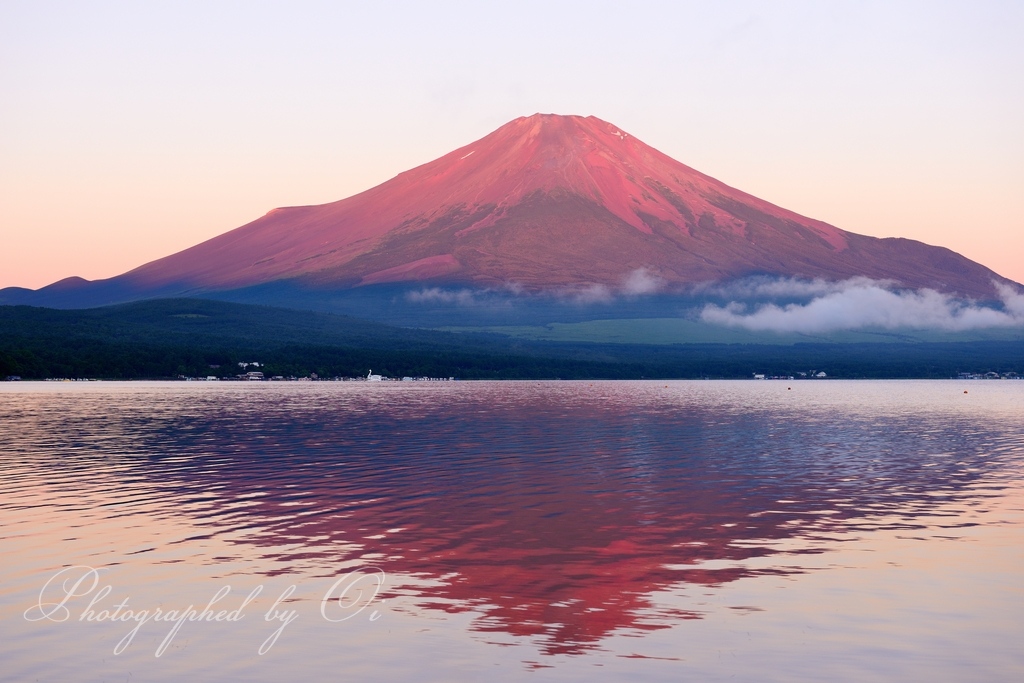 山中湖の赤富士の写真̌̎֟色の朝̏ - 山中湖・忍野村・梨ヶ原エリア࿸山梨ݼ࿹̍