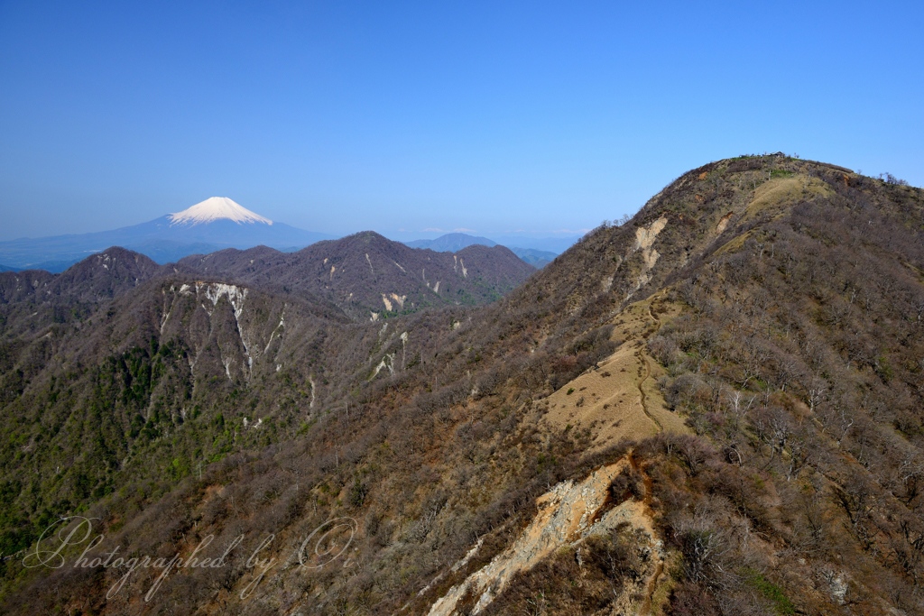 蛭ヶ岳と富士山の写真̌̎縦走路́そして̂̏ - 丹沢山系・大山周辺エリア࿸神奈川ݼ࿹̍