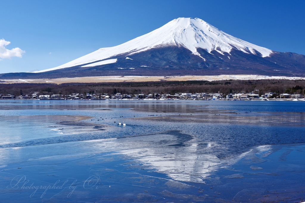 氷結した山中湖と富士山の写真̌̎半氷結̏ - 山中湖・忍野村・梨ヶ原エリア࿸山梨ݼ࿹̍