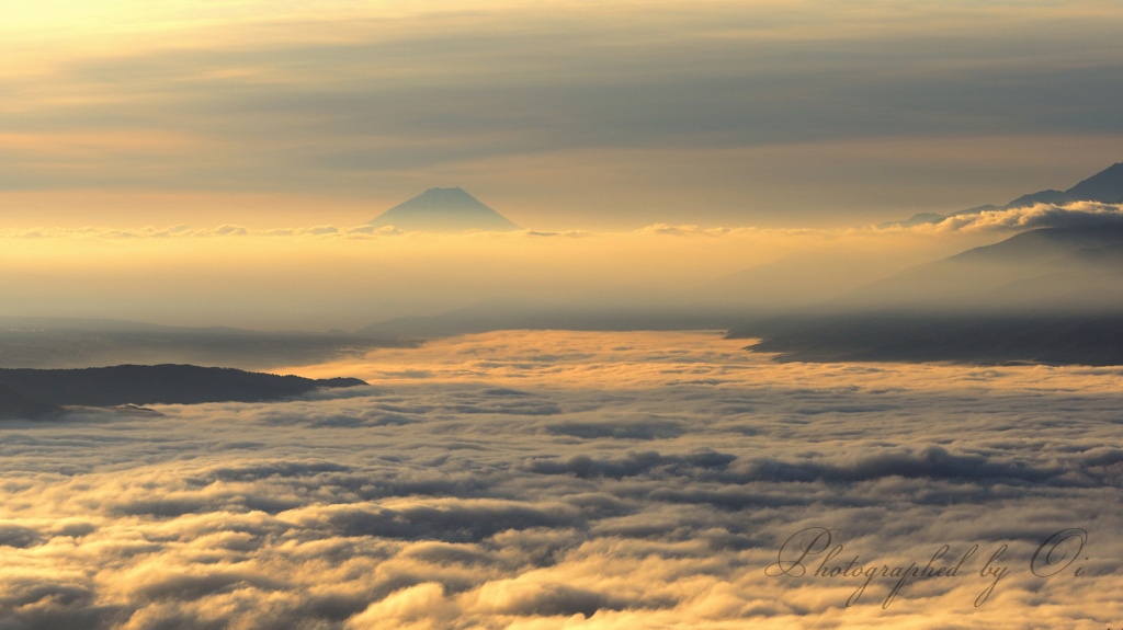 高ボッチの雲海と朝日の富士山の写真̌̎黄金に染まる朝̏ - 高ボッチ・諏訪湖周辺エリア࿸長野ݼ࿹̍