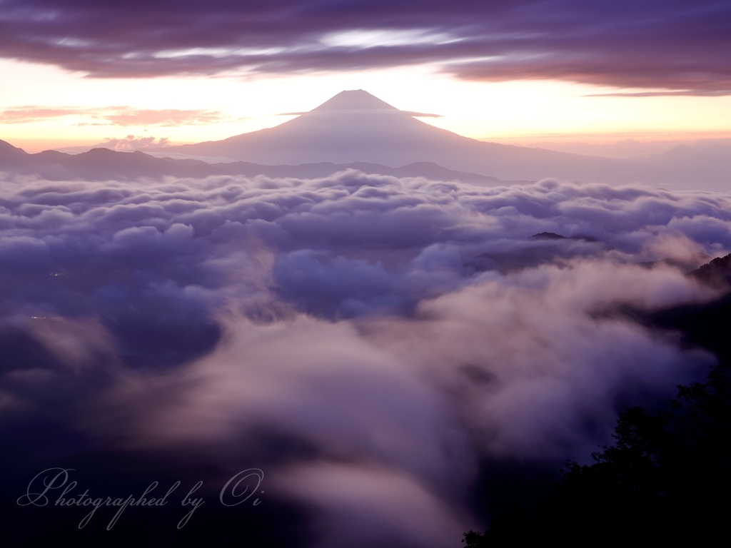 安ԍ峠から望む夜ٮけの雲海と富士山の写真̌̎夜ٮけの轟き̏ - 安ԍ奥山地エリア࿸静岡ݼ・山梨ݼ࿹̍