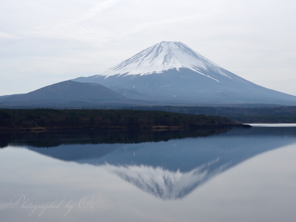 本栖湖のआさ富士の写真̌̎白空を映して̏ - 精進湖・本栖湖・富士五湖西部周辺エリア࿸山梨ݼ࿹̍
