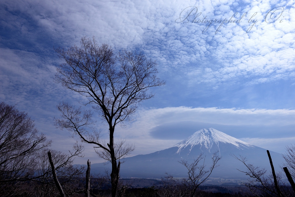 富士宮עの笠雲の写真̌̎大きな帽子と雲の景̏ - 田貫湖・朝霧高原・天子山塊周辺エリア࿸静岡ݼ࿹̍
