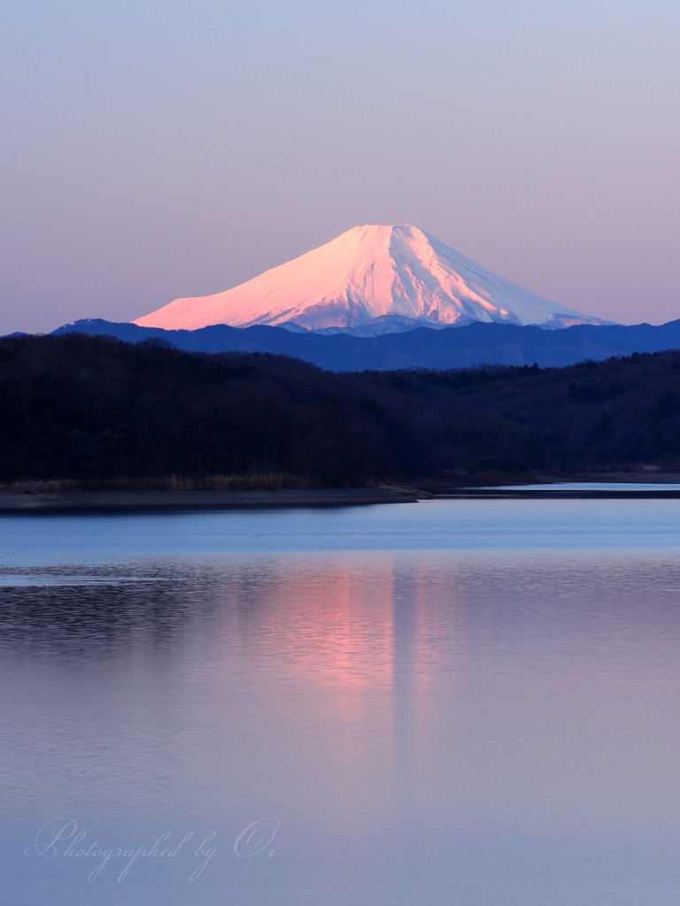 狭山湖のߕ富士の写真̌̎遥かのߕ̏ - 狭山湖・埼玉ݼ内エリア࿸埼玉ݼ࿹̍