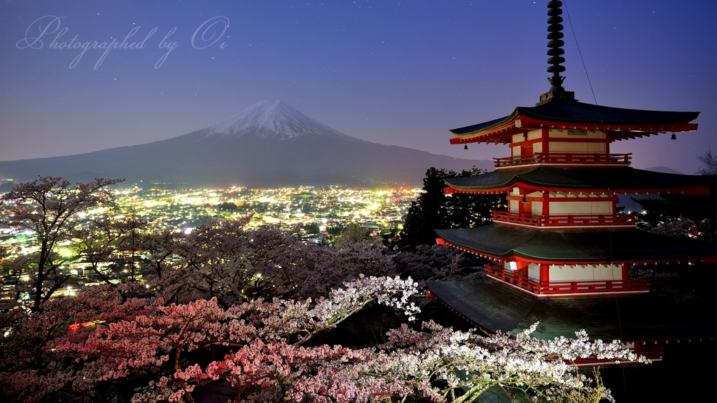 新ԉ山浅間公園・忠ॺ塔から望む満開の桜と富士山の写真̌̎未ٮの宴̏ - 富士Չ田ע周辺エリア࿸山梨ݼ࿹̍