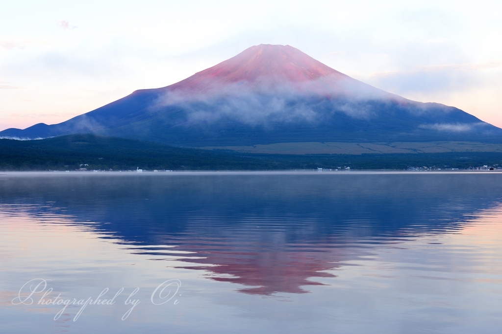 山中湖より望む赤富士とआさ富士の写真̌̎赤富士くすぶって̏ - 山中湖・忍野村・梨ヶ原エリア࿸山梨ݼ࿹̍