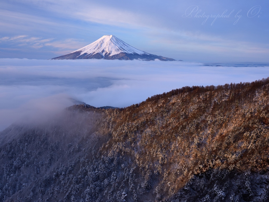 өつ峠の雲海と富士山の写真̌̎光を浴びて̏ - 河口湖・御坂周辺山エリア࿸山梨ݼ࿹̍