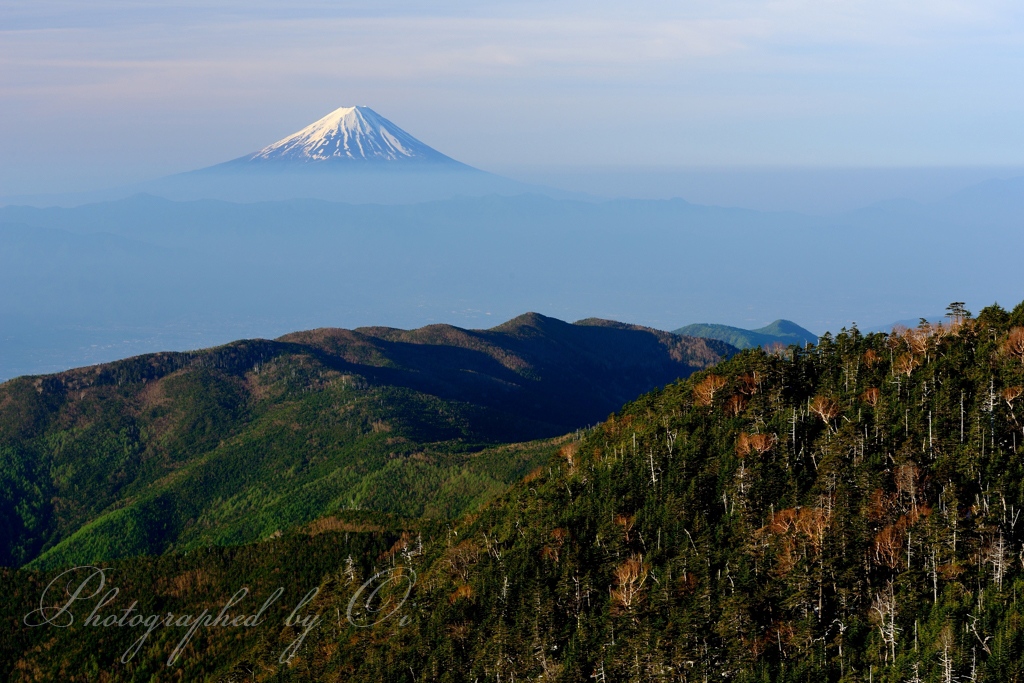 国師ヶ岳から見た富士山の写真̌̎稜線の先に̏ - 奥秩父連山稜線エリア࿸山梨ݼ・長野ݼ࿹̍
