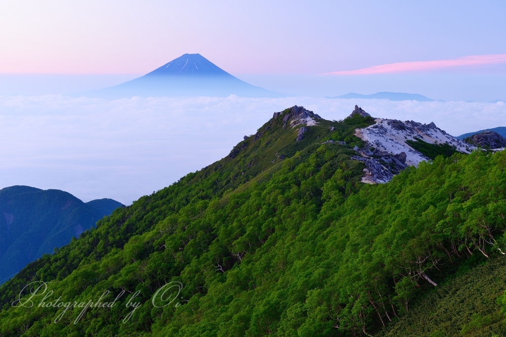 観音岳(鳳凰ө山)から新緑と富士山の写真̌̎Ӫ天の色彩̏ - 南アルプス北部エリア࿸山梨ݼ࿹̍