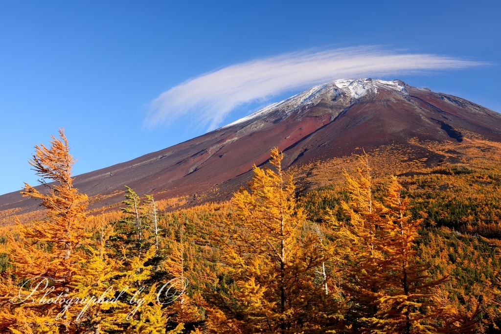 富士山奥庭のカラマツߕ葉とハチマキ雲の写真̌̎富士山ߕ葉祭り̏ - 富士山5Ո目・周辺道路エリア࿸山梨ݼ・静岡ݼ࿹̍