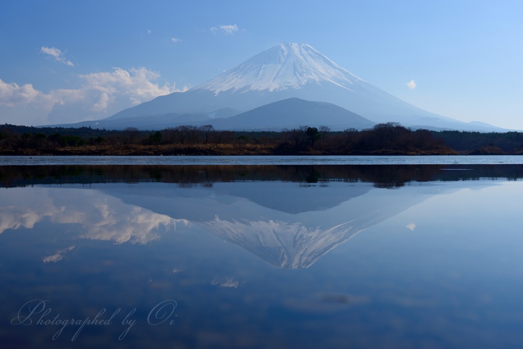 精進湖のआさ富士の写真̌̎एき通る鏡̏ - 精進湖・本栖湖・富士五湖西部周辺エリア࿸山梨ݼ࿹̍